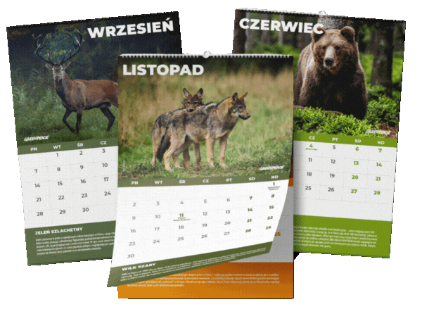 Prezent w podziękowaniu za adopcję zwierzaka